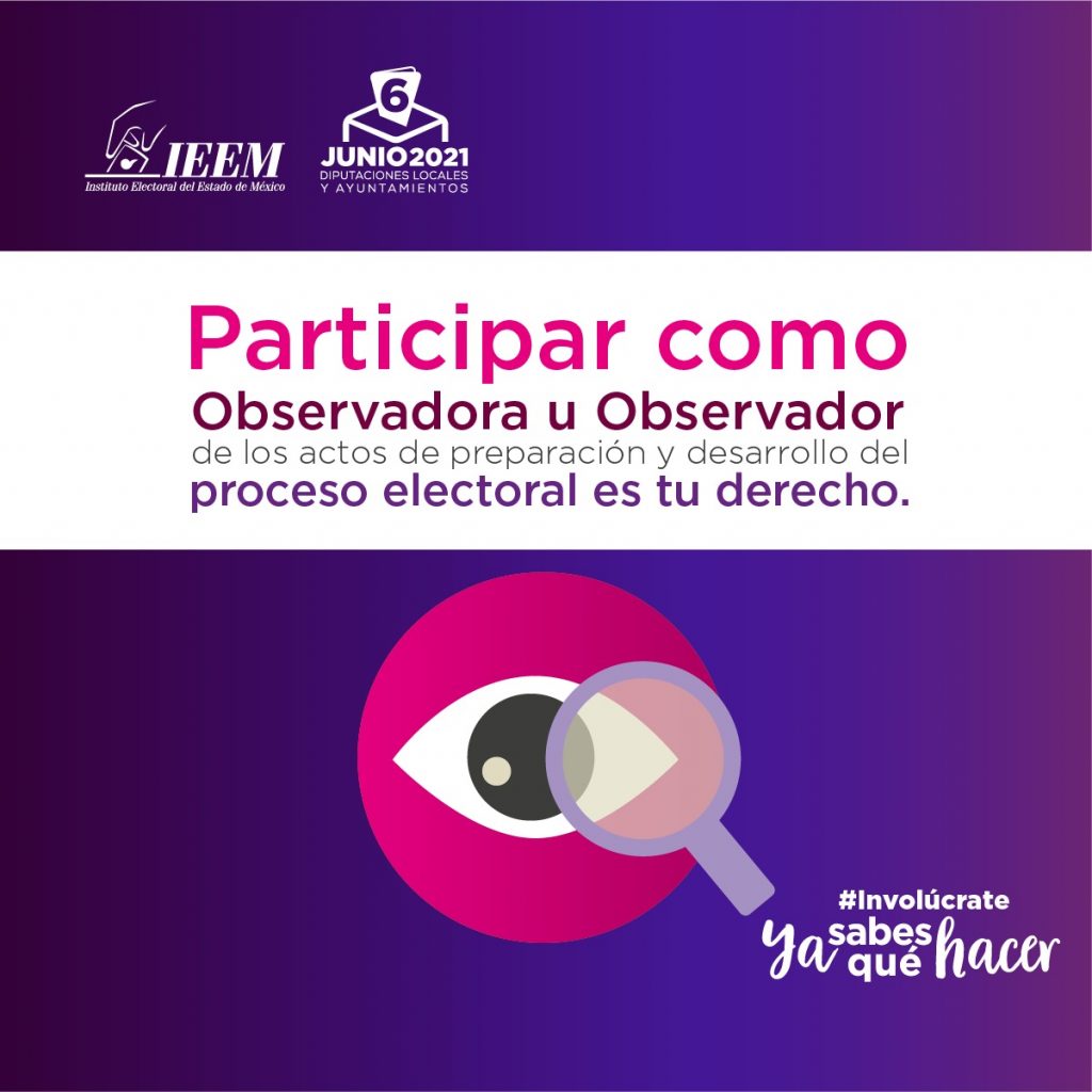 observador electoral